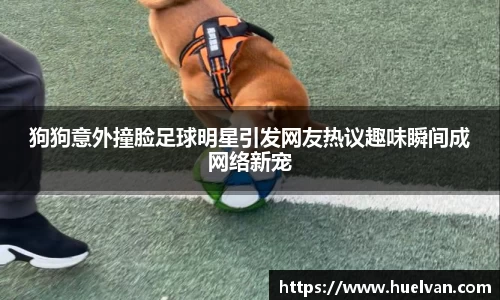 艾弗森ballbet贝博